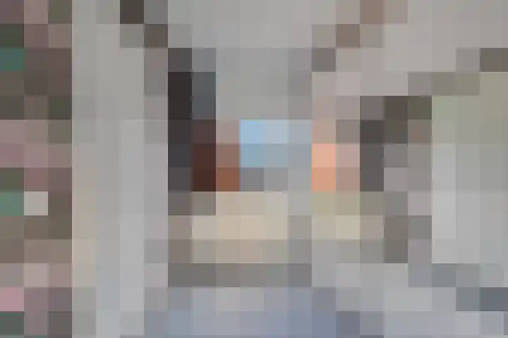 Rottumeroog 2 Barendrecht thumbnail 24