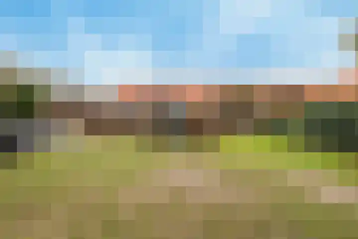 Rottumeroog 2 Barendrecht thumbnail 36