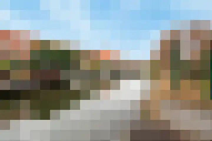 Rottumeroog 2 Barendrecht thumbnail 38