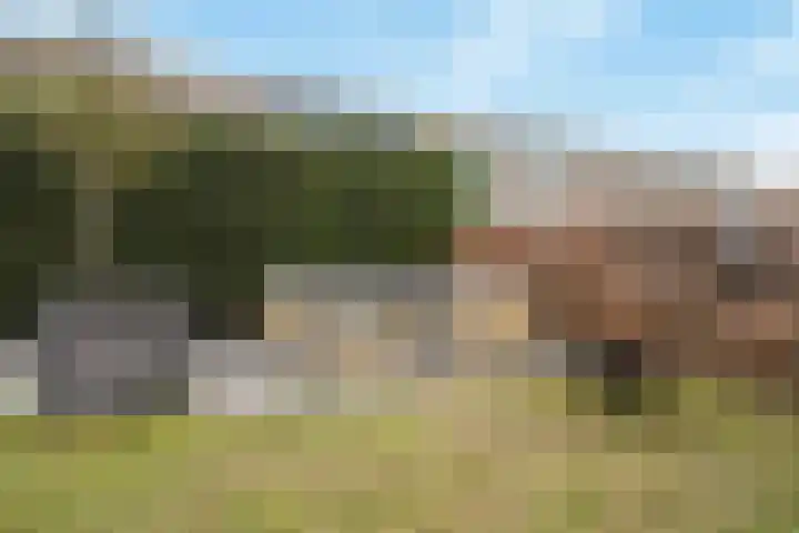 Rottumeroog 2 Barendrecht thumbnail 42