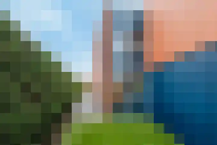 Rottumeroog 2 Barendrecht thumbnail 45