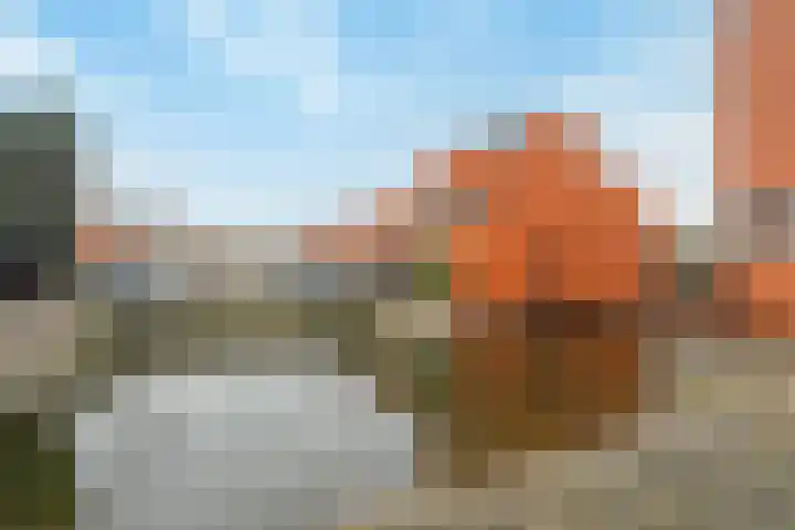 Rottumeroog 2 Barendrecht thumbnail 46