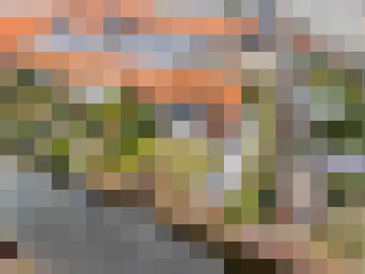Rottumeroog 2 Barendrecht thumbnail 5