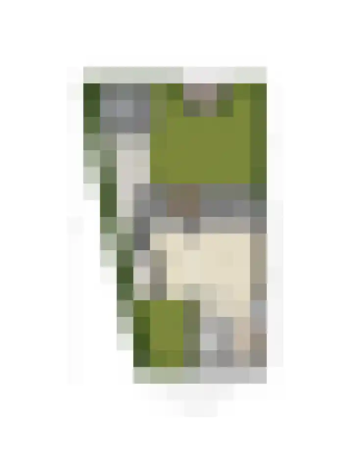 Rottumeroog 2 Barendrecht thumbnail 51