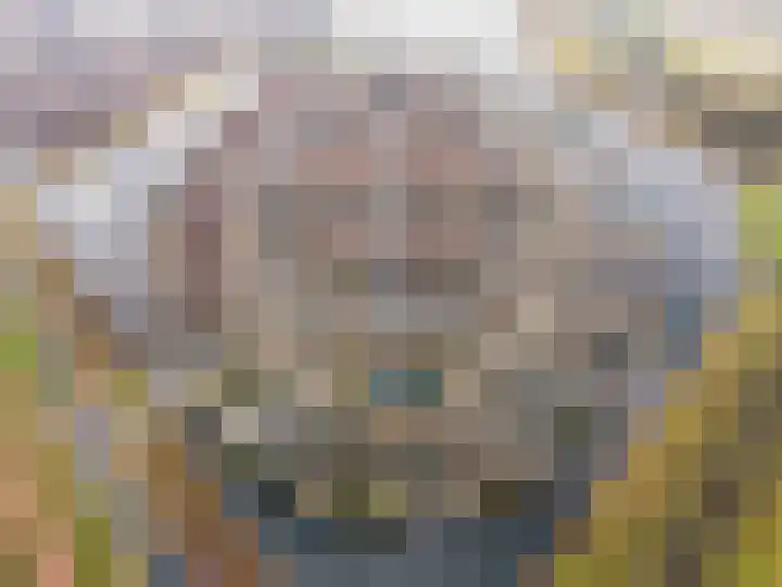 Rottumeroog 2 Barendrecht thumbnail 6