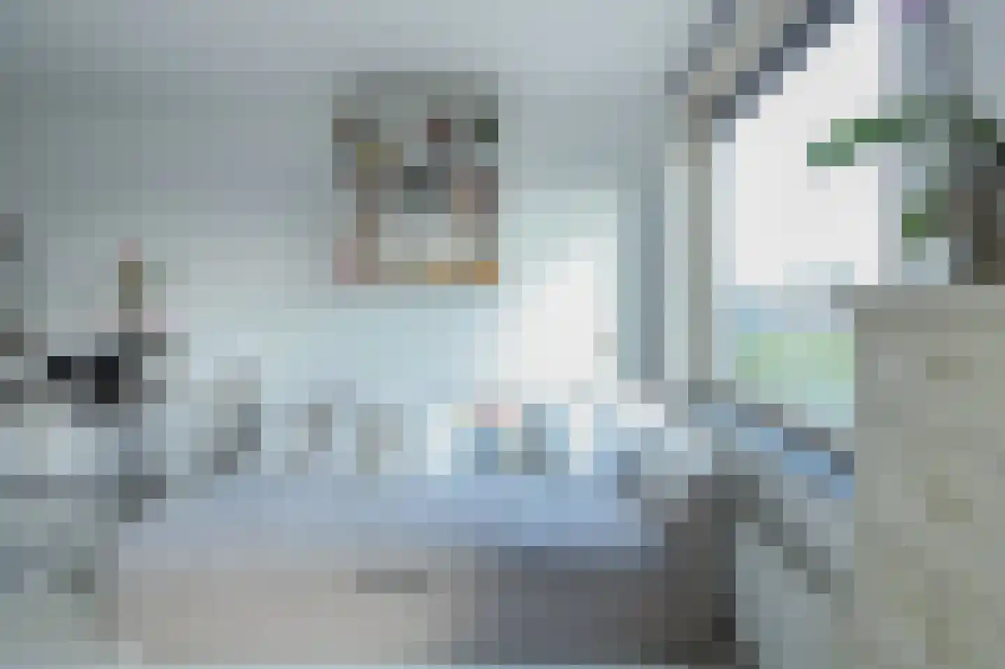 Rottumeroog 236 Hoofddorp thumbnail 14