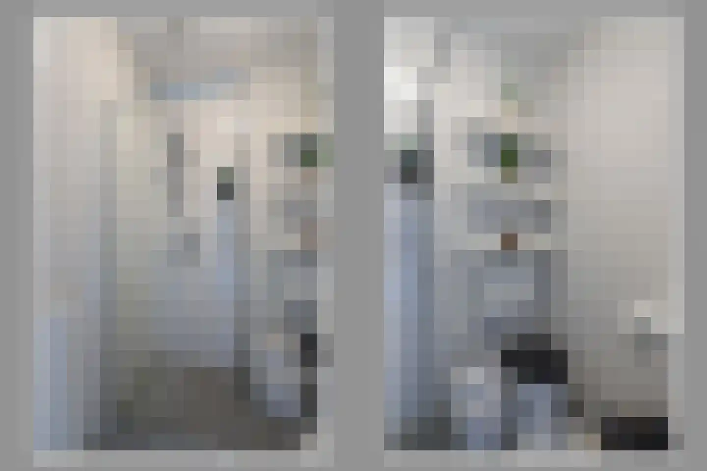 Rottumeroog 236 Hoofddorp thumbnail 16