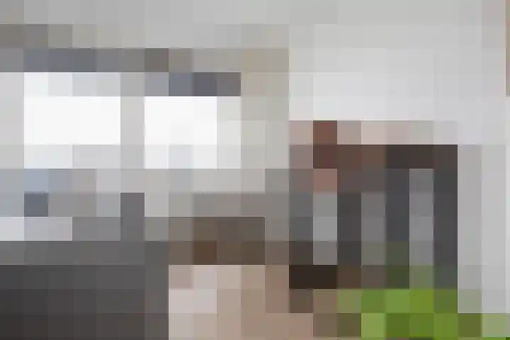 Rottumeroog 252 Hoofddorp thumbnail 16