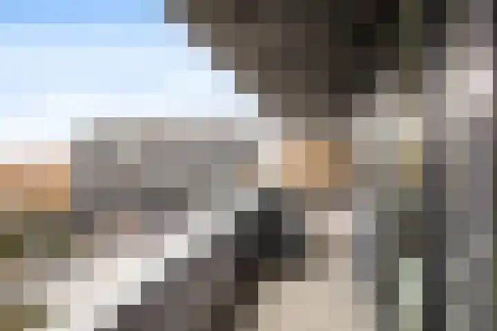 Rottumeroog 252 Hoofddorp thumbnail 25
