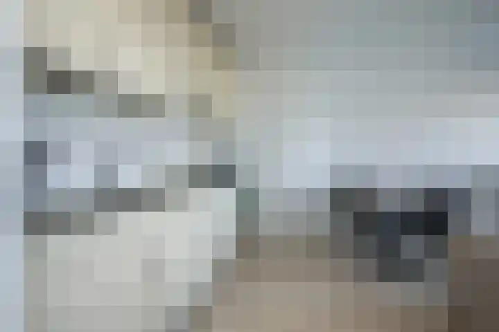 Rottumeroog 276 Hoofddorp thumbnail 11