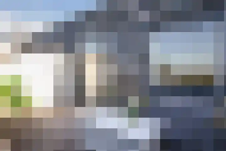 Rottumeroog 276 Hoofddorp thumbnail 20