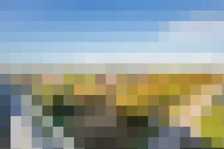 Rottumeroog 276 Hoofddorp thumbnail 21