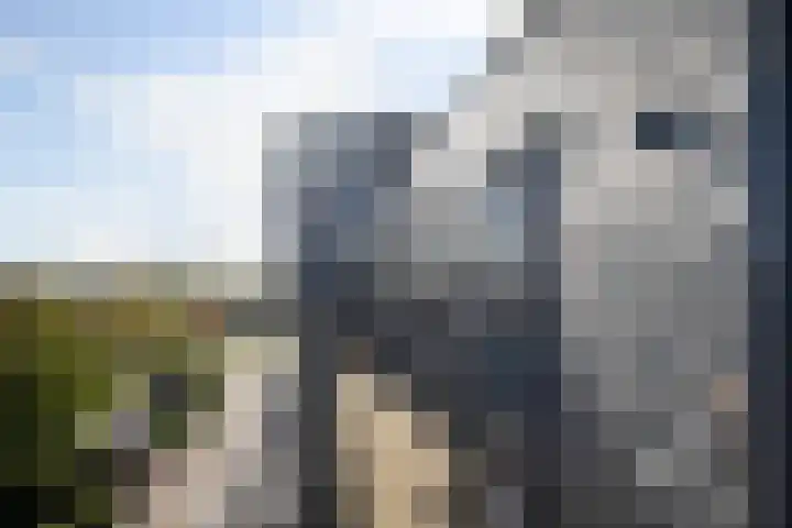 Rottumeroog 276 Hoofddorp thumbnail 6
