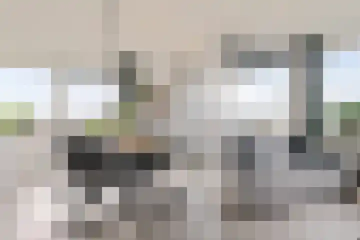 Rottumeroog 44 Hoofddorp thumbnail 10