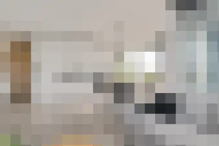 Rottumeroog 44 Hoofddorp thumbnail 11