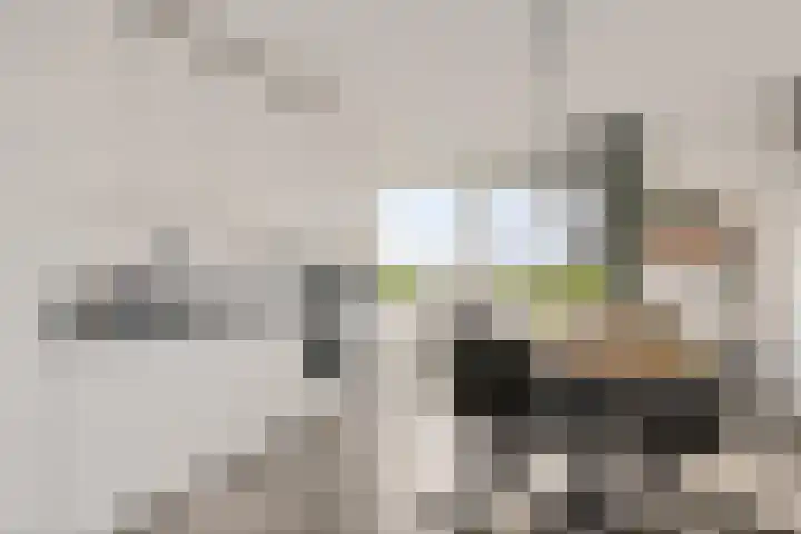 Rottumeroog 44 Hoofddorp thumbnail 12