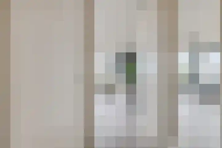 Rottumeroog 44 Hoofddorp thumbnail 20