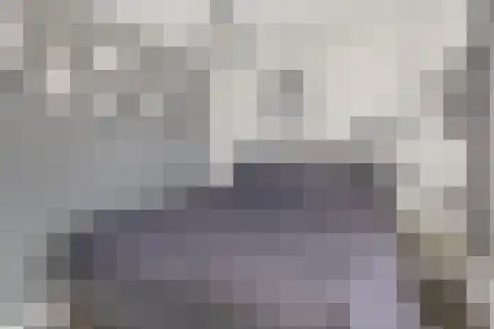 Rottumeroog 44 Hoofddorp thumbnail 22