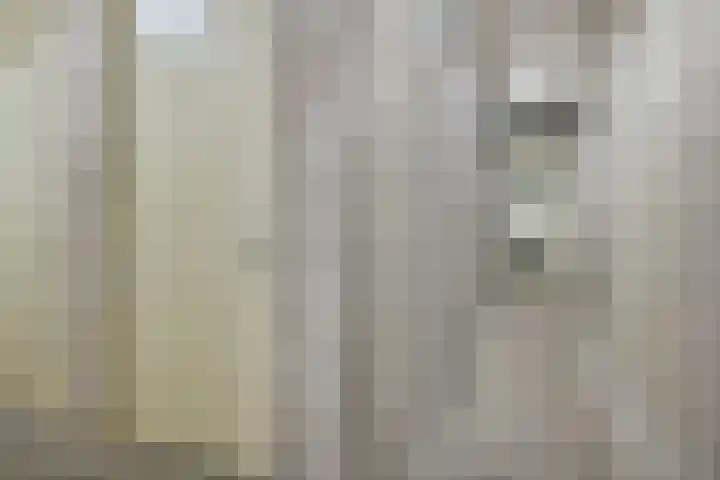Rottumeroog 44 Hoofddorp thumbnail 27