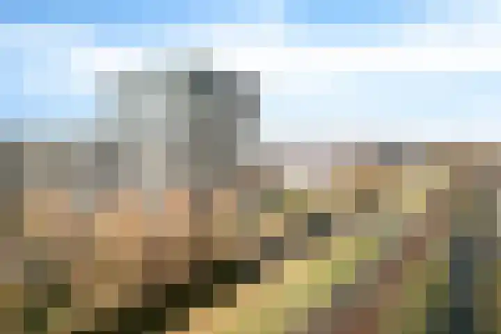 Rottumeroog 44 Hoofddorp thumbnail 5