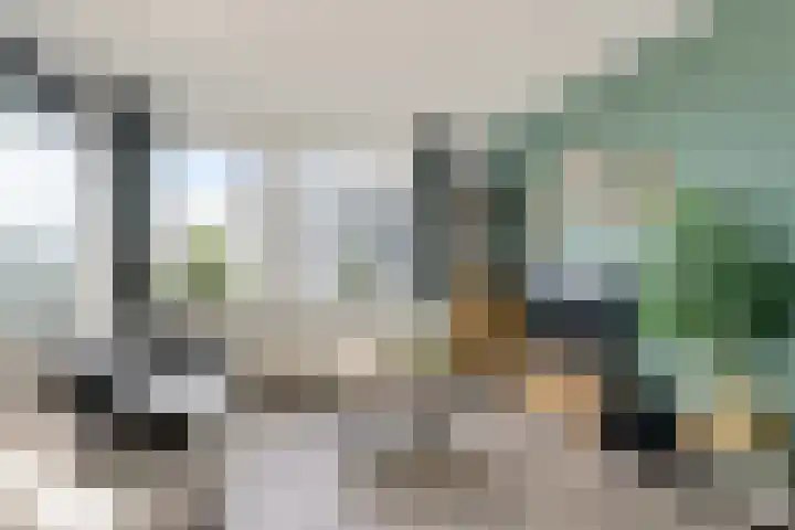 Rottumeroog 44 Hoofddorp thumbnail 7