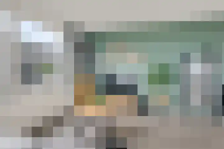Rottumeroog 44 Hoofddorp thumbnail 8