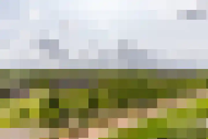 Rottumeroog 60 Hoofddorp thumbnail 16