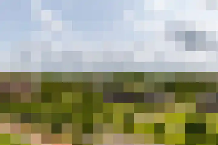 Rottumeroog 60 Hoofddorp thumbnail 19