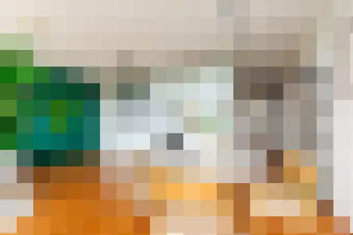 Rottumeroog 60 Hoofddorp thumbnail 20