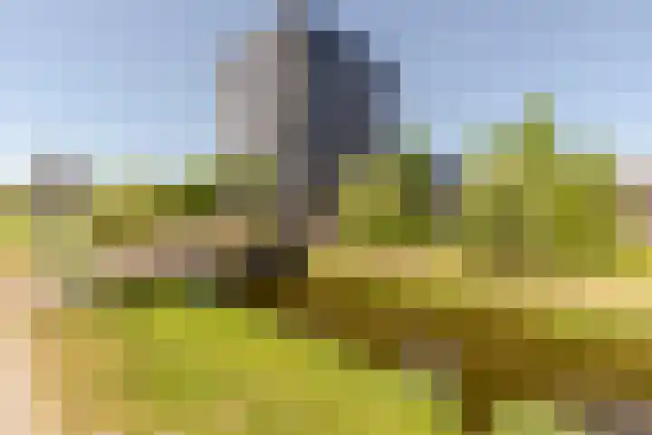 Rottumeroog 60 Hoofddorp thumbnail 22