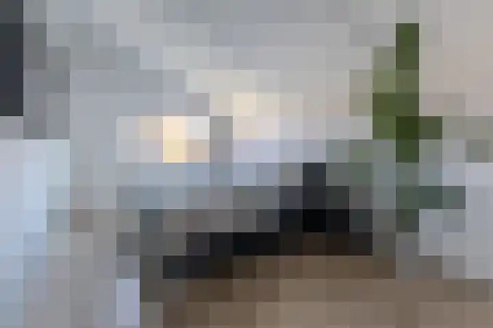 Rottumeroog 62 Heemskerk thumbnail 20