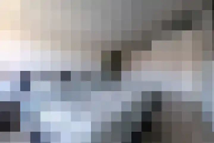 Rottumeroog 62 Heemskerk thumbnail 21