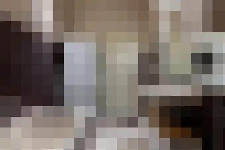 Rottumeroog 62 Heemskerk thumbnail 27