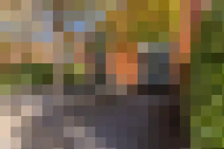 Rottumeroog 62 Heemskerk thumbnail 28