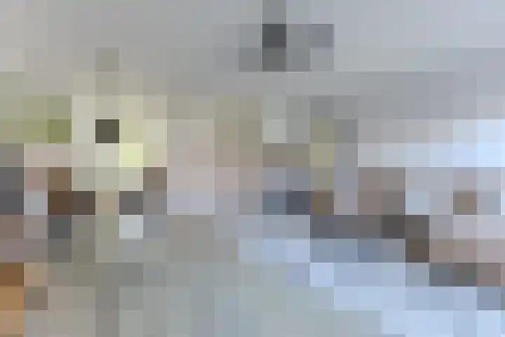 Rottumeroog 62 Heemskerk thumbnail 4