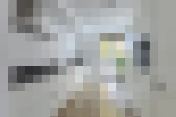 Rottumeroog 62 Heemskerk thumbnail 6