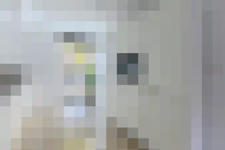 Rottumeroog 62 Heemskerk thumbnail 9