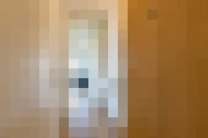Rottumeroog 64 Hoofddorp thumbnail 10