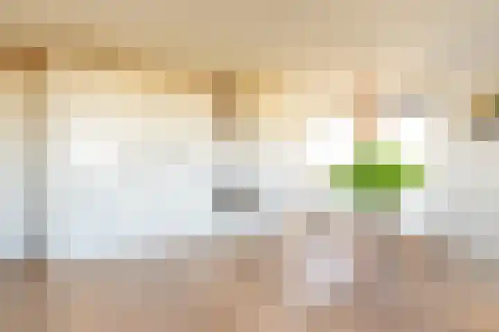 Rottumeroog 64 Hoofddorp thumbnail 15