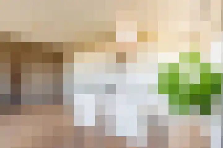Rottumeroog 64 Hoofddorp thumbnail 19