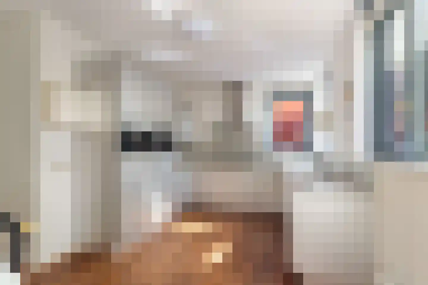 Rottumeroog 83 Heemskerk thumbnail 14