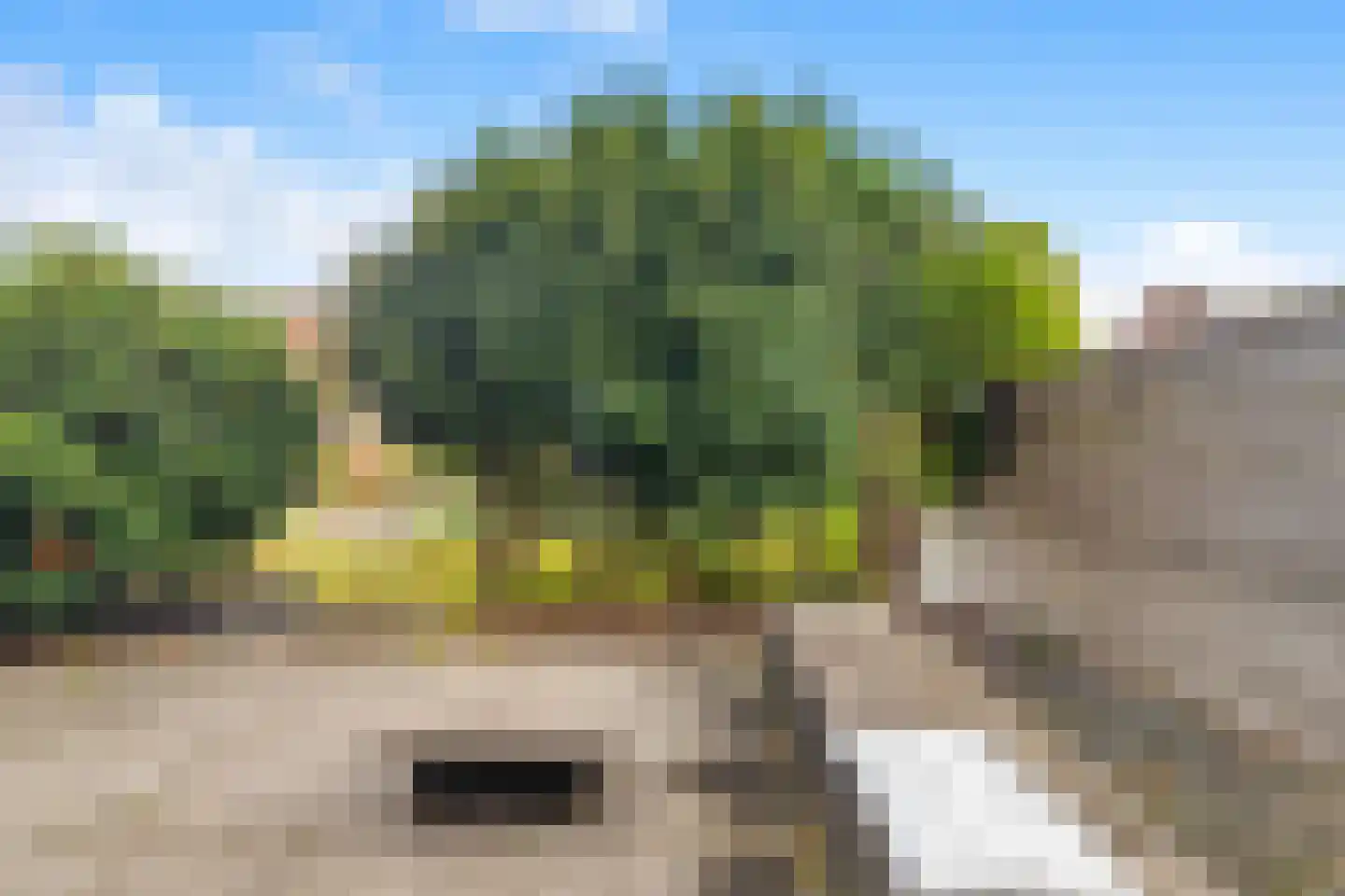 Rottumeroog 83 Heemskerk thumbnail 35