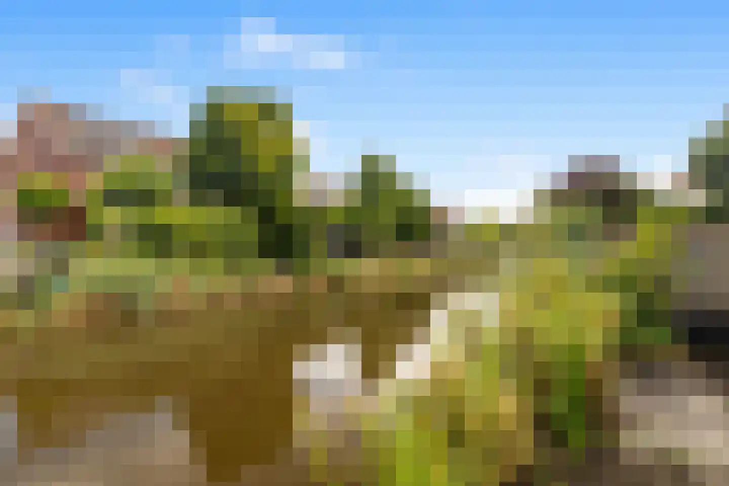Rottumeroog 83 Heemskerk thumbnail 38