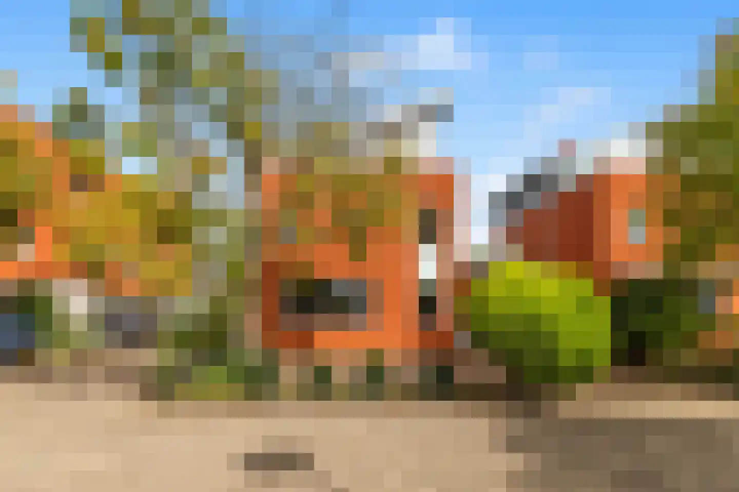 Rottumeroog 83 Heemskerk thumbnail 43
