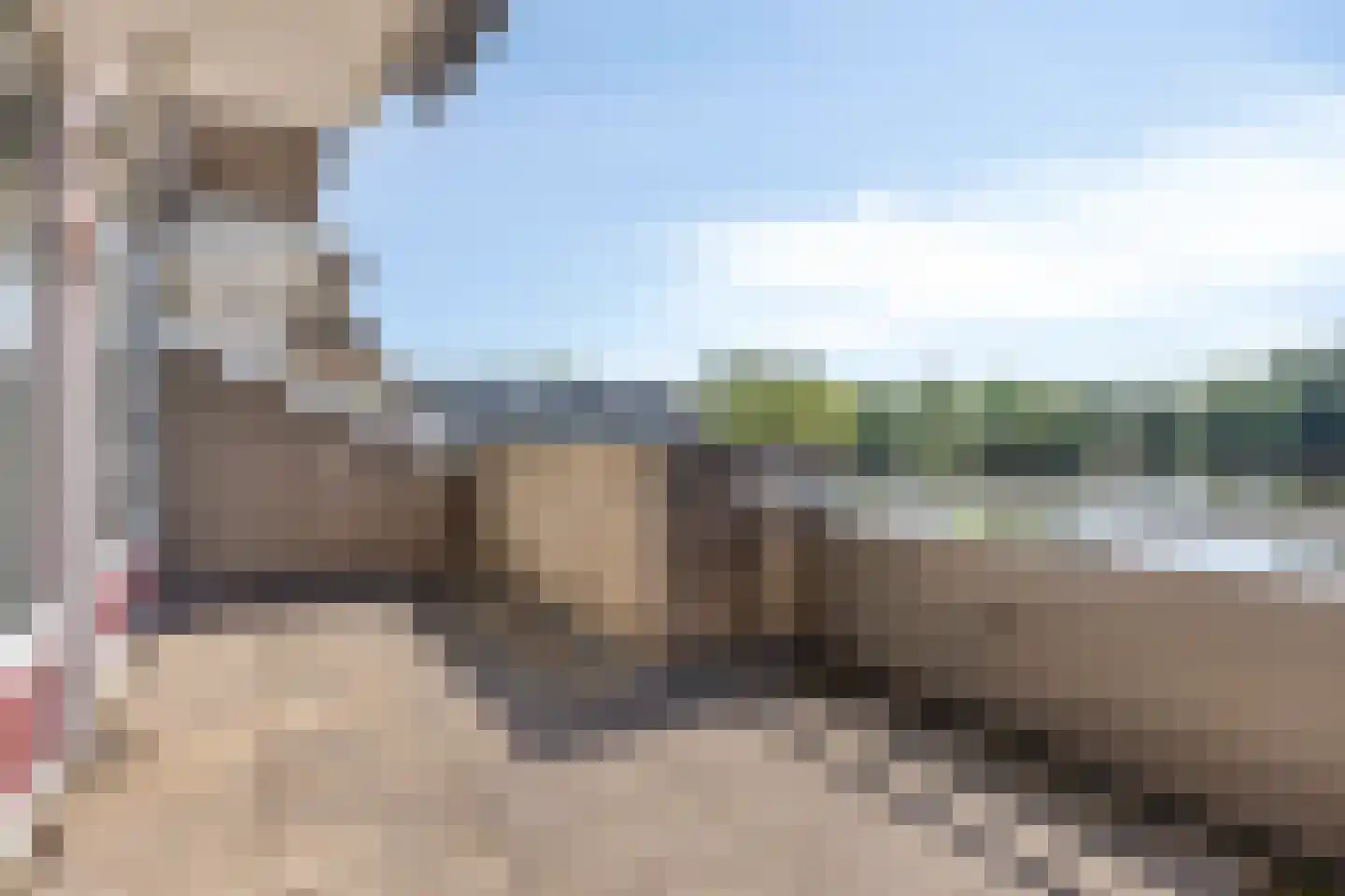 Rottumerplaat 19 Zwolle thumbnail 18