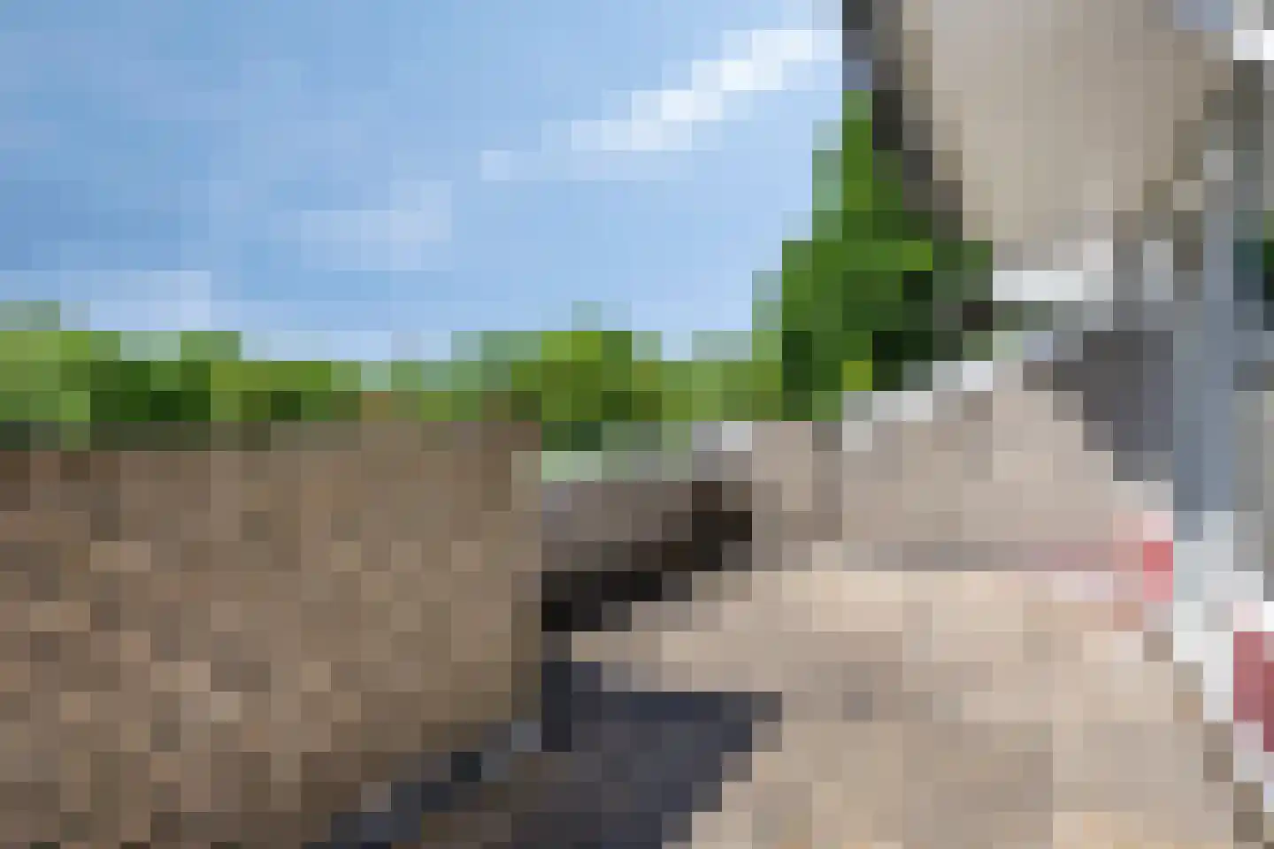 Rottumerplaat 19 Zwolle thumbnail 19