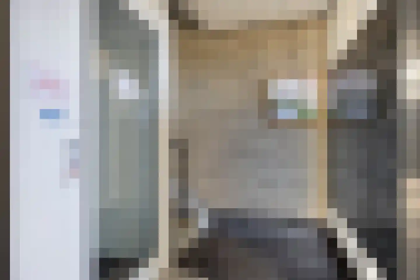 Rottumerplaat 19 Zwolle thumbnail 20