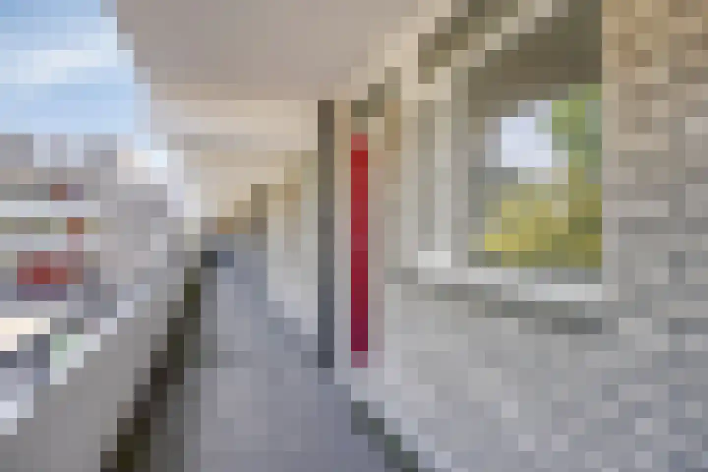 Rottumerplaat 19 Zwolle thumbnail 21