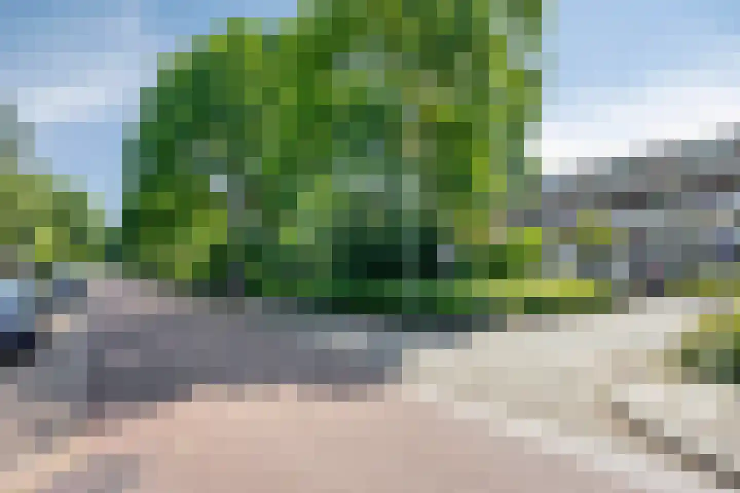 Rottumerplaat 19 Zwolle thumbnail 25