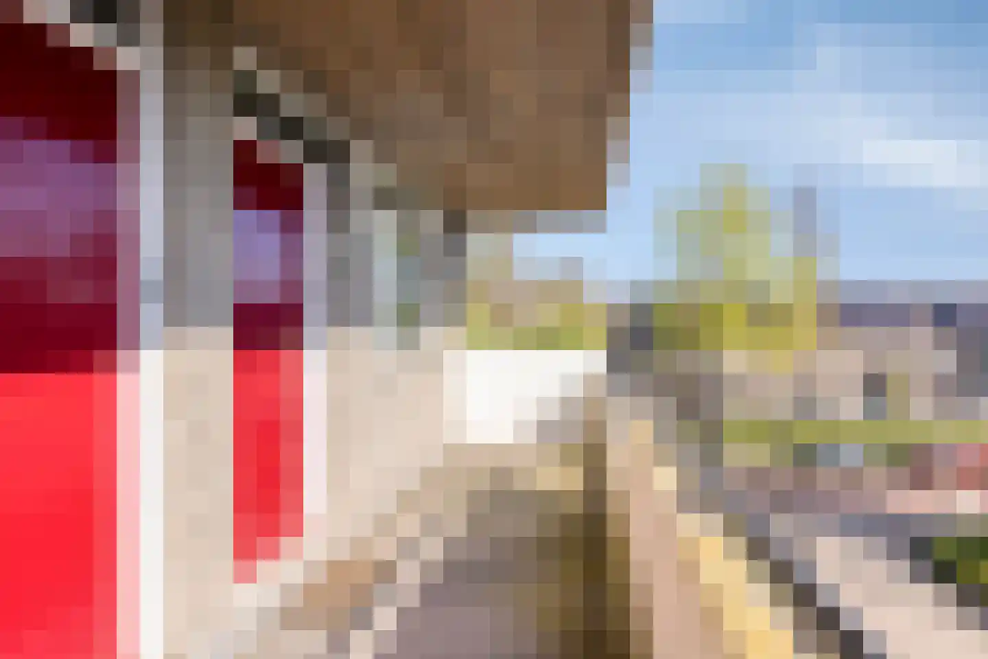 Rottumerplaat 22 Zwolle thumbnail 18